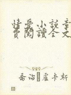 情爱小说章节免费阅读全文