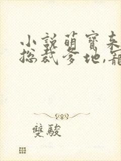 小说萌宝来袭:总裁爹地,宠上天封面