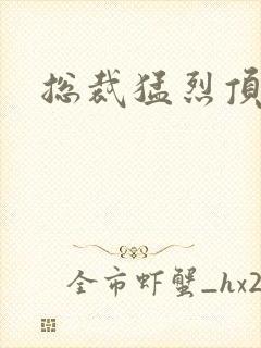 总裁猛烈顶弄h