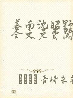 姜南沈昭野小说全文免费阅读封面