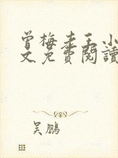 曾梅老王小说全文免费阅读
