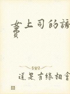 女上司的诱惑免费