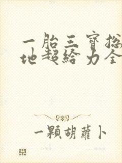 一胎三宝总裁爹地超给力全文免费阅读 在线封面