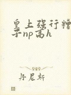 皇上强行糟蹋太子np高h