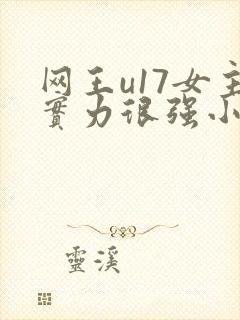 网王u17女主实力很强小说