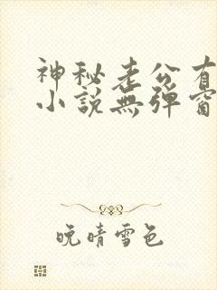 神秘老公有点坏小说无弹窗封面