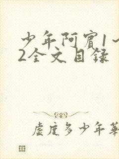 少年阿宾1～72全文目录
