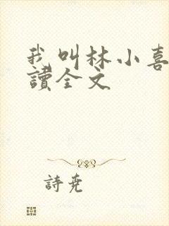 我叫林小喜全阅读全文封面