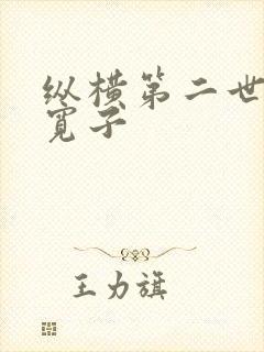纵横第二世界 宽子封面
