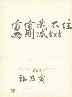 偷偷藏不住全文无删减txt封面