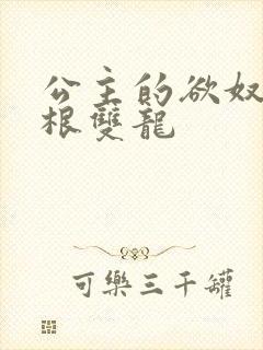 公主的欲奴h四根双龙封面