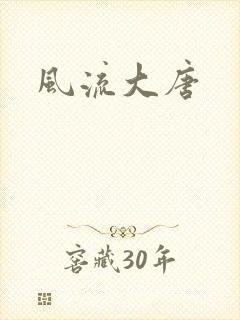 风流大唐封面