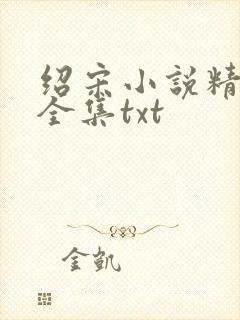 绍宋小说精校版全集txt