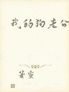 我的狗老公阅读