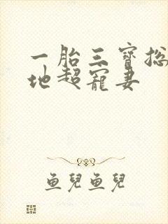 一胎三宝总裁爹地超宠妻