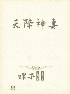 天降神妻封面