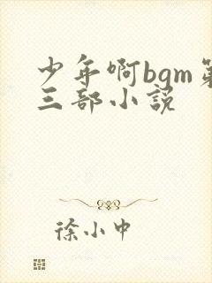 少年啊bgm第三部小说