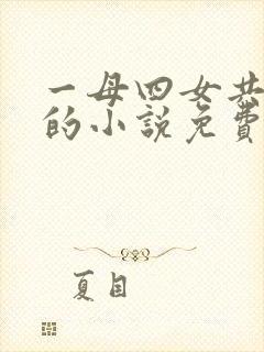 一母四女共一婿的小说免费阅读小冉