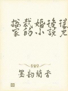 总裁婚后从不回家的小说免费阅读