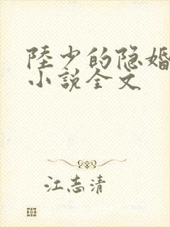 陆少的隐婚罪妻小说全文封面