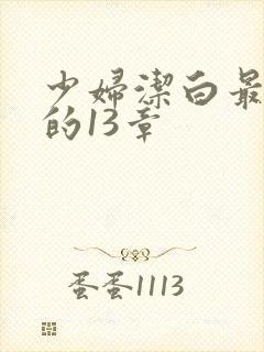 少妇洁白最刺激的13章