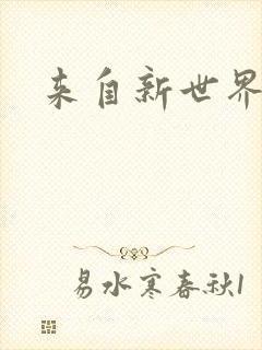 来自新世界小说