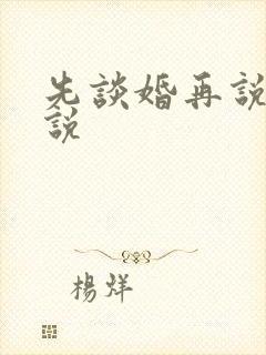 先谈婚再说爱小说