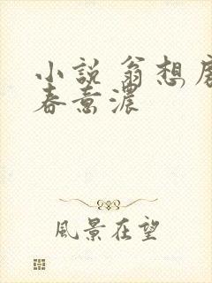 小说 翁想房中春意浓