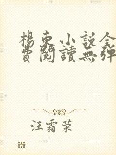 杨东小说全文免费阅读无弹窗