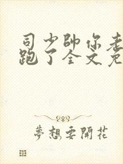 司少帅你老婆又跑了全文免费阅读