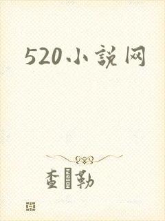 520小说网
