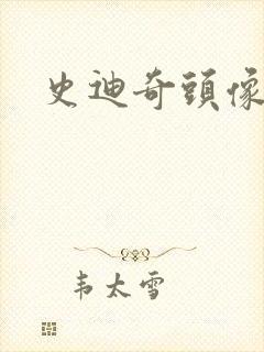 史迪奇头像