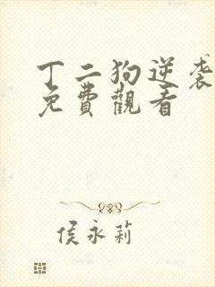 丁二狗逆袭人生免费观看