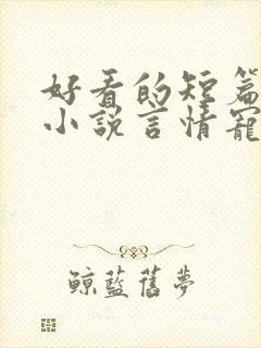 好看的短篇完结小说言情宠文