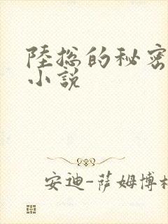 陆总的秘密恋人小说