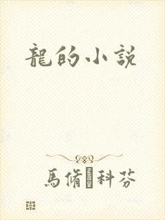 龙的小说封面