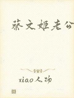 蔡文姬老公封面