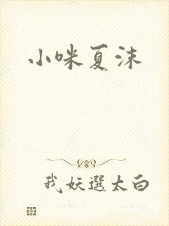 小咪夏沫封面