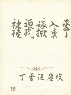 被迫嫁入丞相府后我掀桌了小说全文免费阅读