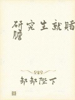 研究生就赌一个胆封面