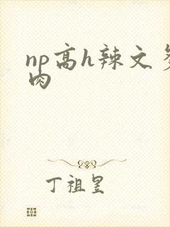 np高h辣文多肉