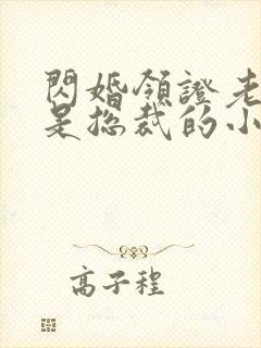 闪婚领证老公竟是总裁的小说