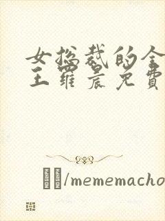女总裁的全能兵王罗晨免费