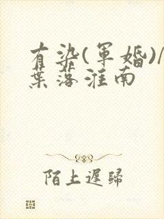 有染(军婚)/叶落淮南封面