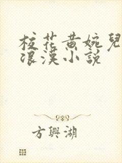 校花黄婉儿和流浪汉小说封面