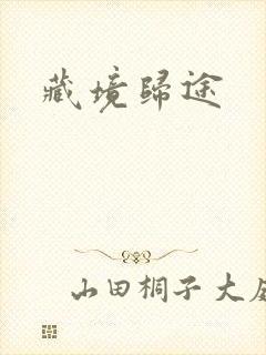 藏境归途