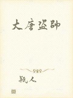 大唐盗帅