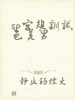 sp宫规训诫绝色美男封面