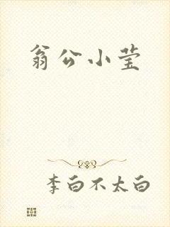翁公小莹封面