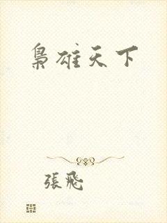 枭雄天下